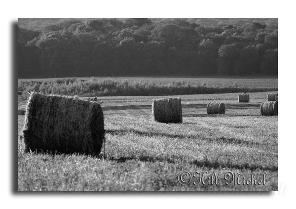 01campagne-au-petit-matin.jpg