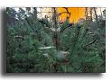 268-MH04725-leve-du-soleil-sous-brouillard
