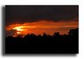 271-RSC0003-le-soleil-se-couche-derrirere-la-foret
