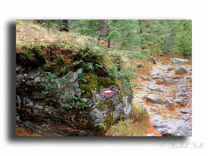 04-RSC0091-GR52-vallon-du-col-de-salese-(11).jpg