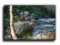 34-chamois0001_022_022