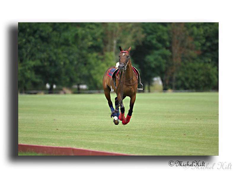 HMO1663_HMO1663-Trophee-du-COQUETIER-D'OR.jpg
