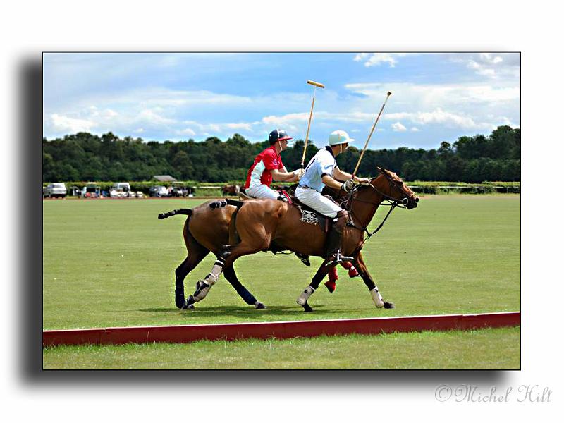 MH02658-Trophee-du-COQUETIER-D'OR.jpg