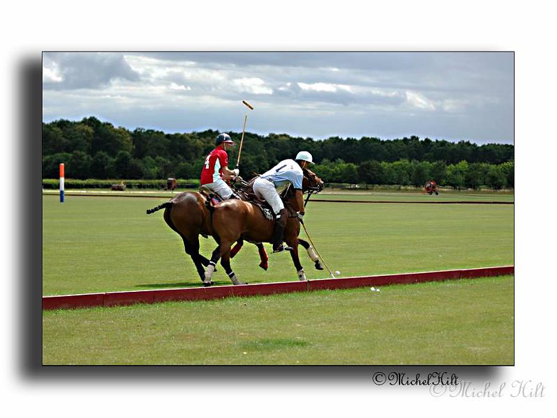 MH02659-Trophee-du-COQUETIER-D'OR.jpg