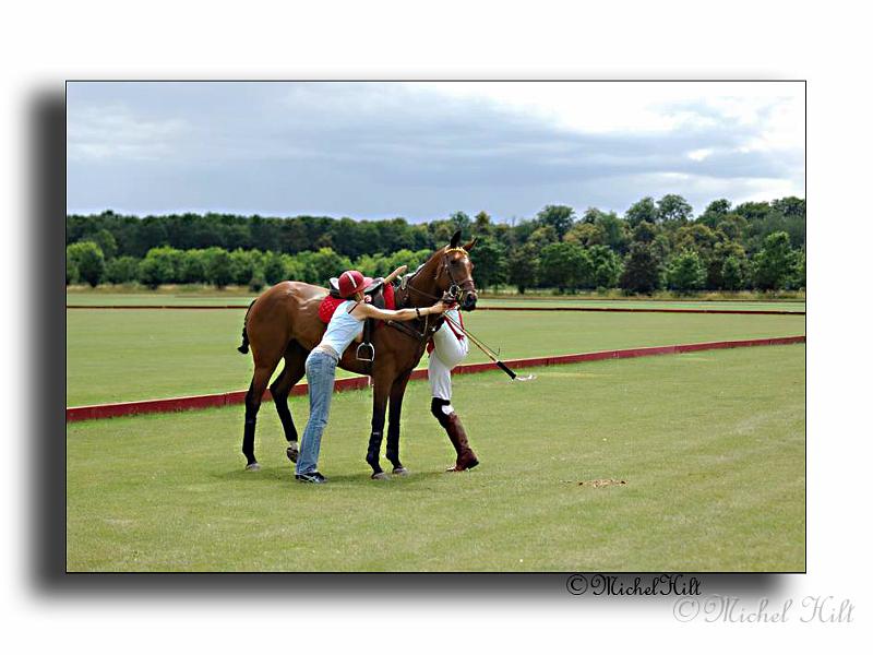 MH02663-Trophee-du-COQUETIER-D'OR.jpg