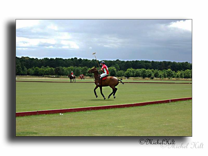 MH02666-Trophee-du-COQUETIER-D'OR.jpg