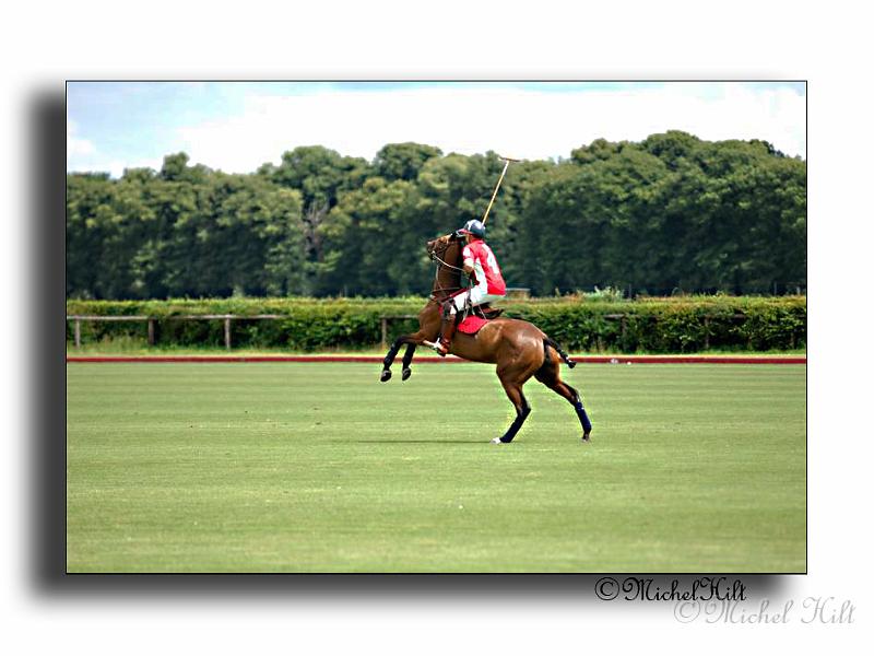 MH02668-Trophee-du-COQUETIER-D'OR.jpg