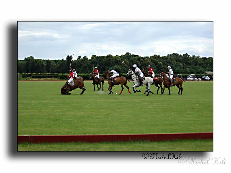 MH02670-Trophee-du-COQUETIER-D'OR.jpg