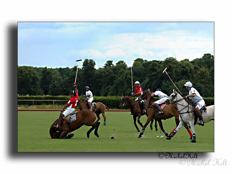 MH02671-Trophee-du-COQUETIER-D'OR.jpg
