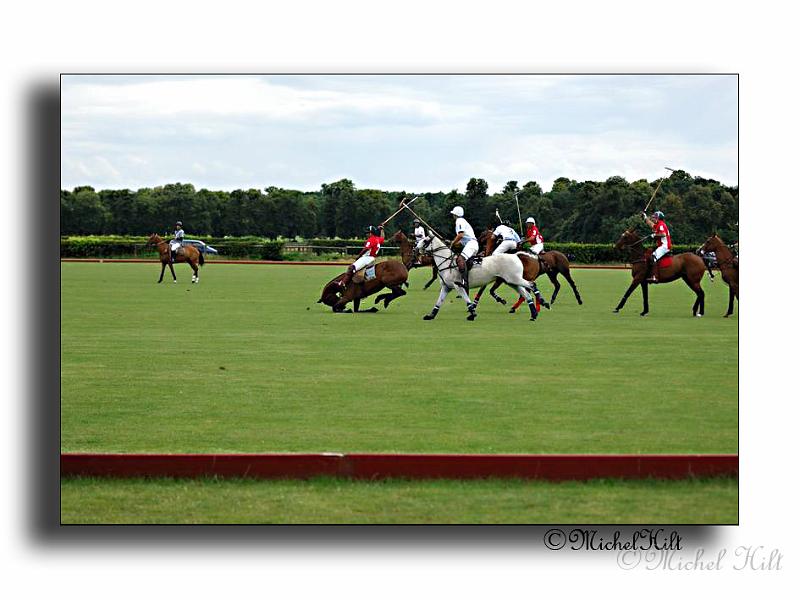 MH02672-Trophee-du-COQUETIER-D'OR.jpg