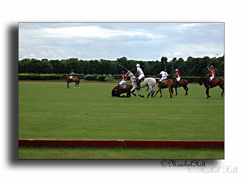 MH02673-Trophee-du-COQUETIER-D'OR.jpg