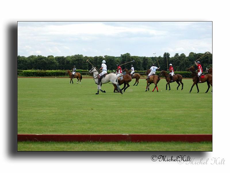 MH02675-Trophee-du-COQUETIER-D'OR.jpg