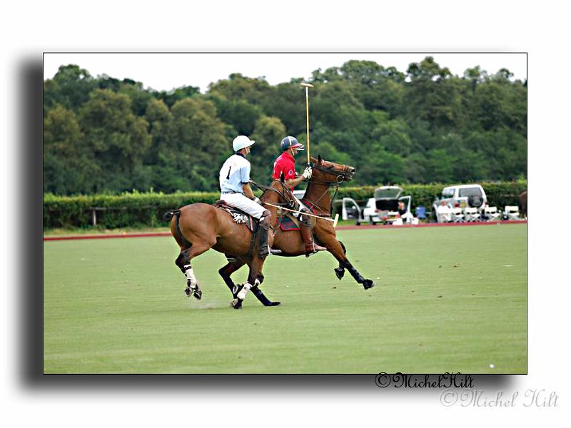MH02679-Trophee-du-COQUETIER-D'OR.jpg