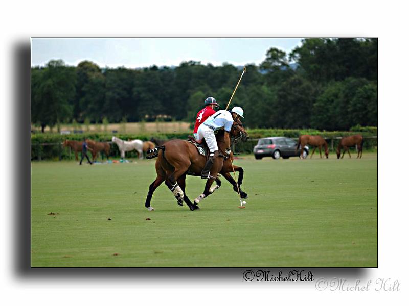 MH02680-Trophee-du-COQUETIER-D'OR.jpg