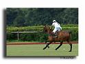HMO1783-Trophee-du-COQUETIER-D'OR_copy