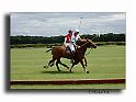 MH02655-Trophee-du-COQUETIER-D'OR
