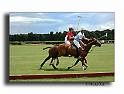 MH02656-Trophee-du-COQUETIER-D'OR