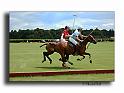MH02657-Trophee-du-COQUETIER-D'OR