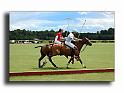 MH02658-Trophee-du-COQUETIER-D'OR