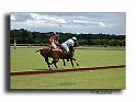 MH02659-Trophee-du-COQUETIER-D'OR