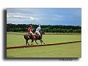 MH02660-Trophee-du-COQUETIER-D'OR