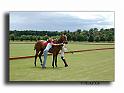 MH02663-Trophee-du-COQUETIER-D'OR