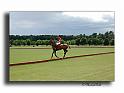 MH02665-Trophee-du-COQUETIER-D'OR