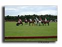 MH02670-Trophee-du-COQUETIER-D'OR