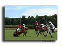 MH02671-Trophee-du-COQUETIER-D'OR