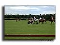 MH02673-Trophee-du-COQUETIER-D'OR