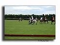 MH02674-Trophee-du-COQUETIER-D'OR