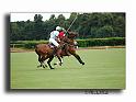 MH02678-Trophee-du-COQUETIER-D'OR