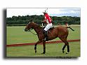 MH02682-Trophee-du-COQUETIER-D'OR