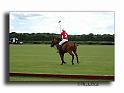 MH02683-Trophee-du-COQUETIER-D'OR