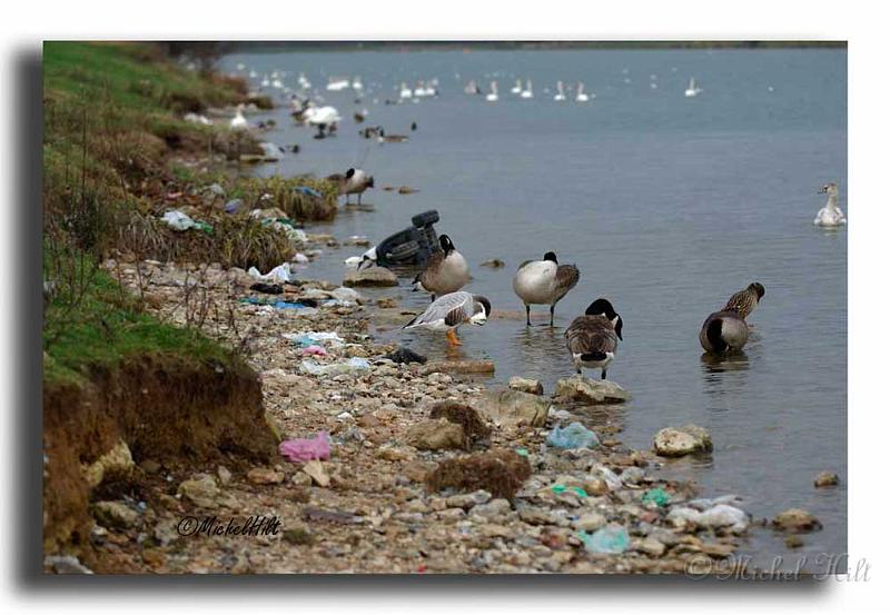002MH0209-pollutionCopie.jpg