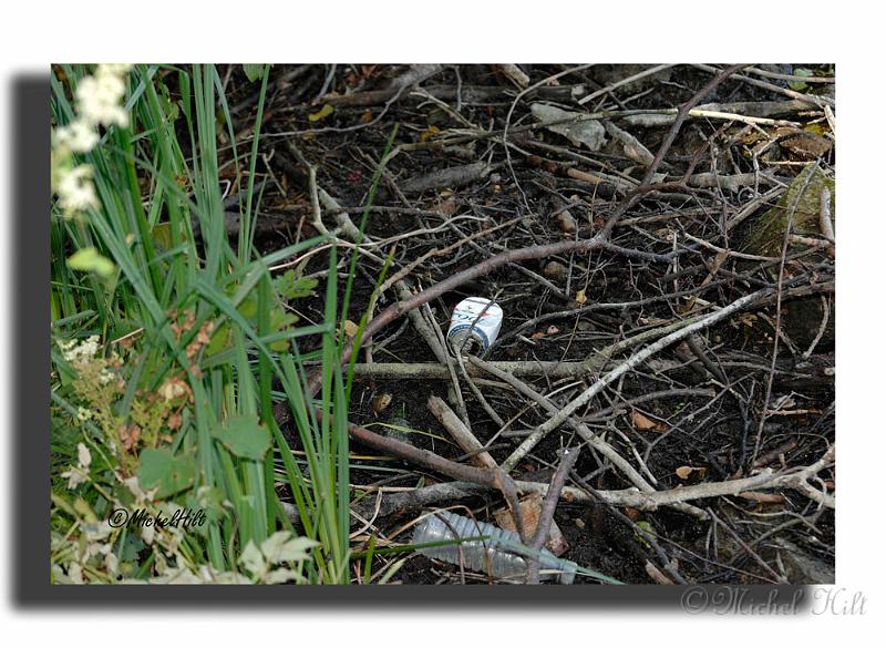 014RSC0013-pollution.jpg