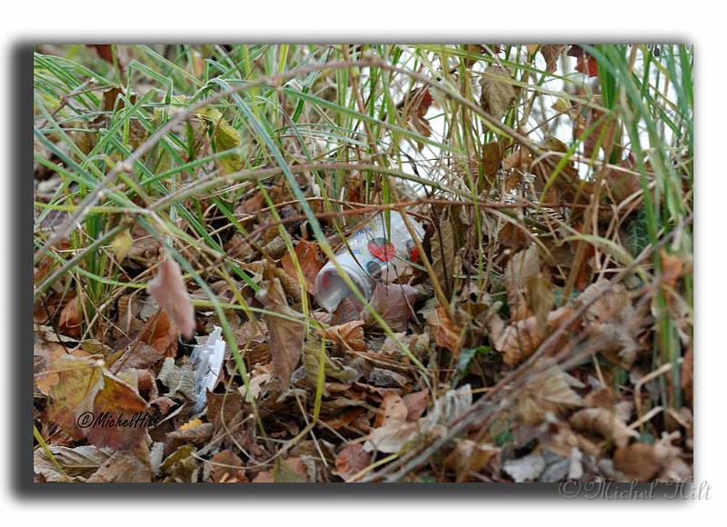 019RSC0025-pollution.jpg