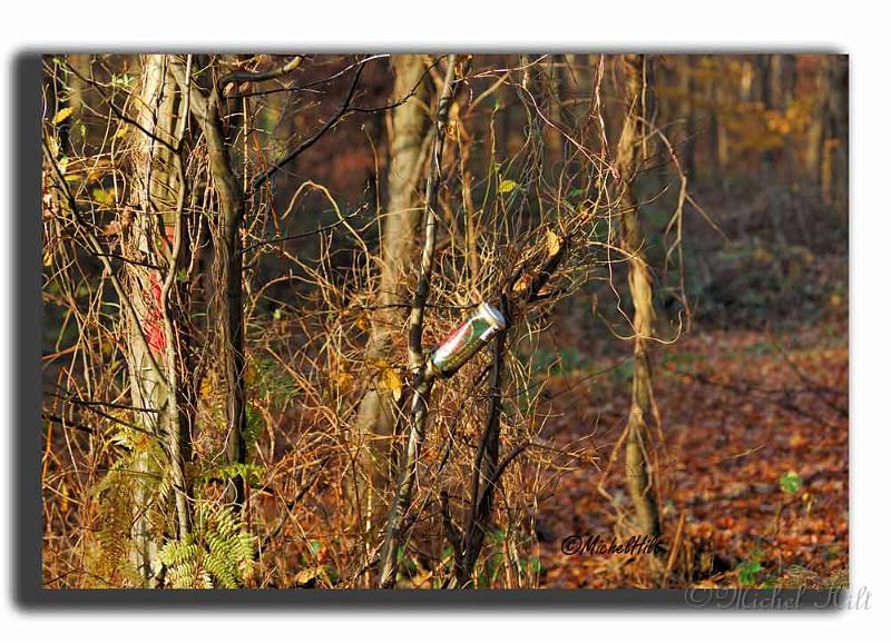 022MH0097-pollution.jpg - .....vous qui avez le courage.....