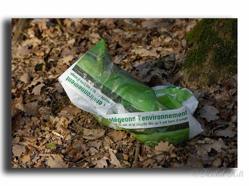 025RSC0021pollution-3.jpg
