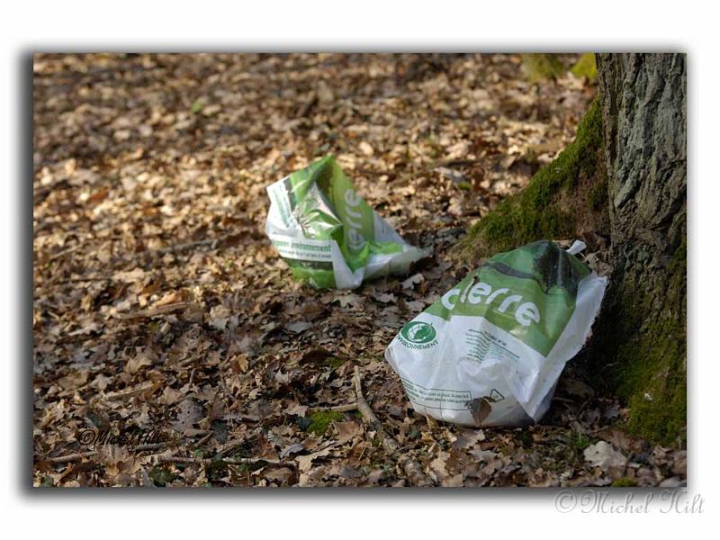 026RSC0021pollution-4.jpg