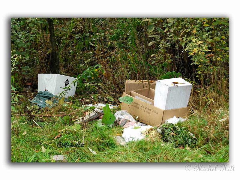 028RSC0002-pollution.jpg - décharges sauvages , il existe  des decharges à proximité de chez vous, un justificatif de domicile à presenter, c est pas la mere à boire!!!!