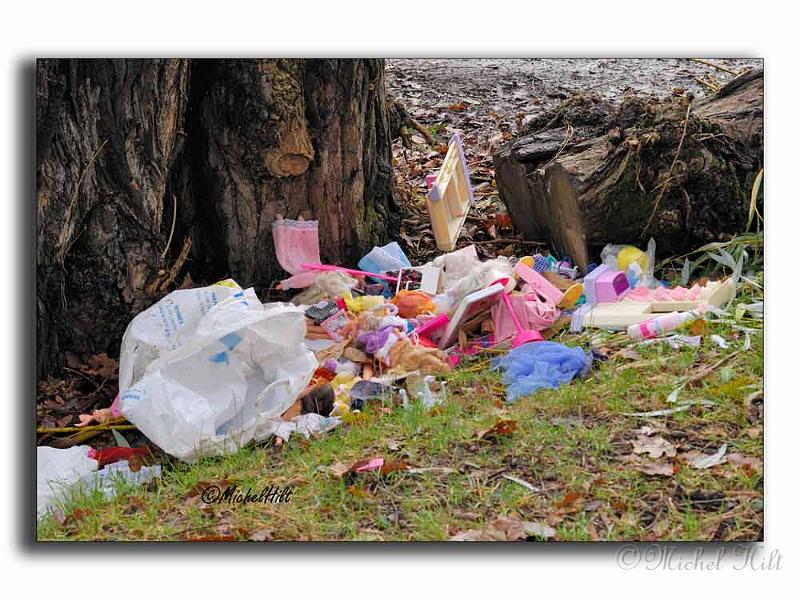 029RSC0014-pollution.jpg
