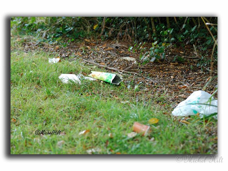 030RSC0010-pollution.jpg