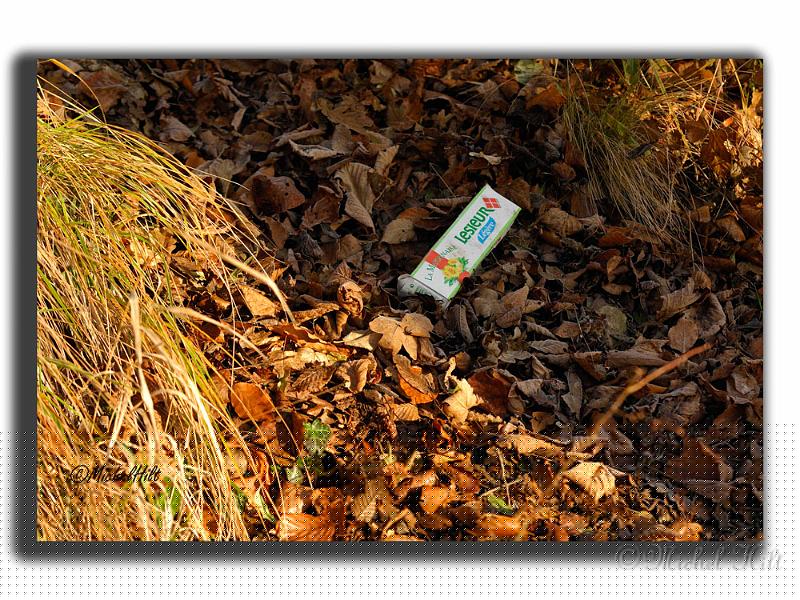 031RSC0060-pollution.jpg