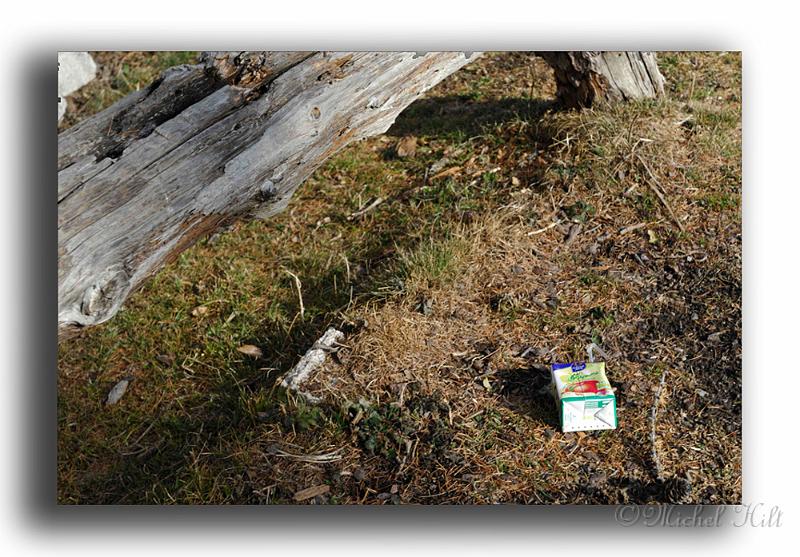 046MH0041-rejet-de-touristes-a-la-montagne-ne-pouvait-il-pas-etre-ramene-au-parking-voir-meme-a-l-habitat.jpg