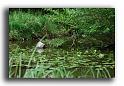 038MH0048-pollution
