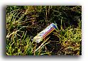 041MH0039-pollution-cycliste