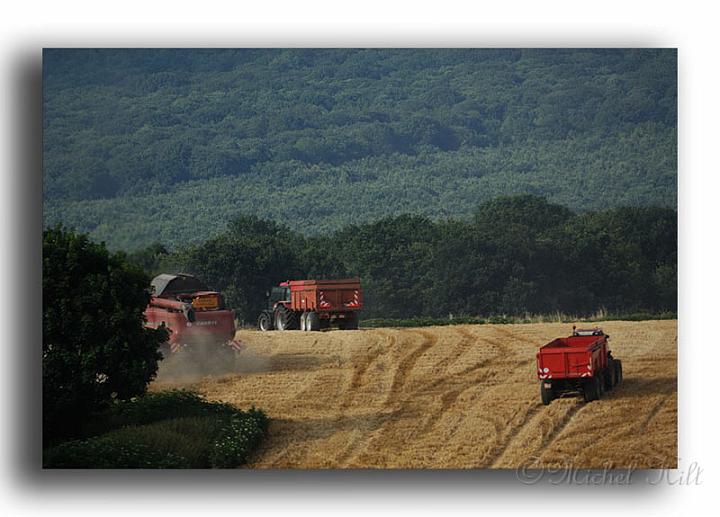 002MH02986-moisson-en-val-d'oise.jpg