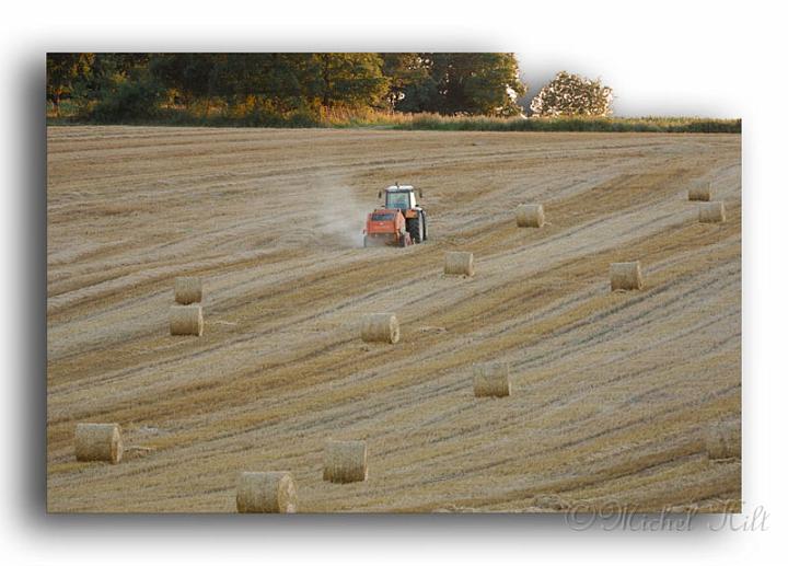 003MH0008-moisson-en-val-d'oise.jpg