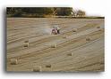 003MH0008-moisson-en-val-d'oise